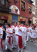 Desfile de las peñas - Toro Enmaromado en Benavente
